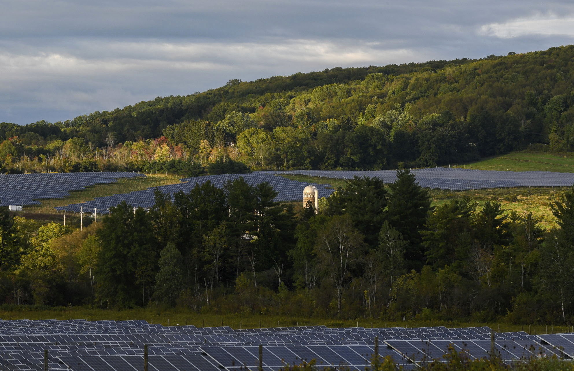 Bees Sheep Crops Solar Developers Tout Multiple Benefits News 